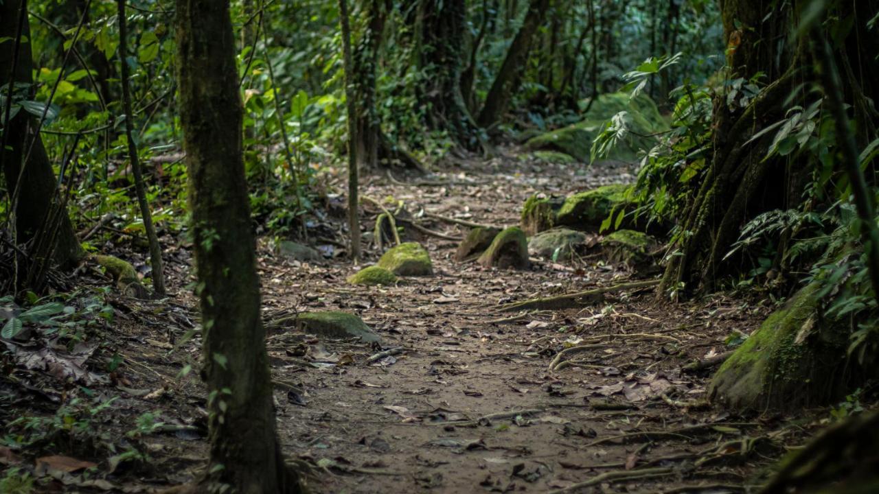 Hotel Rancho Cerro Azul La Fortuna Kültér fotó