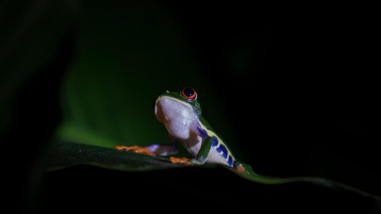 Hotel Rancho Cerro Azul La Fortuna Kültér fotó